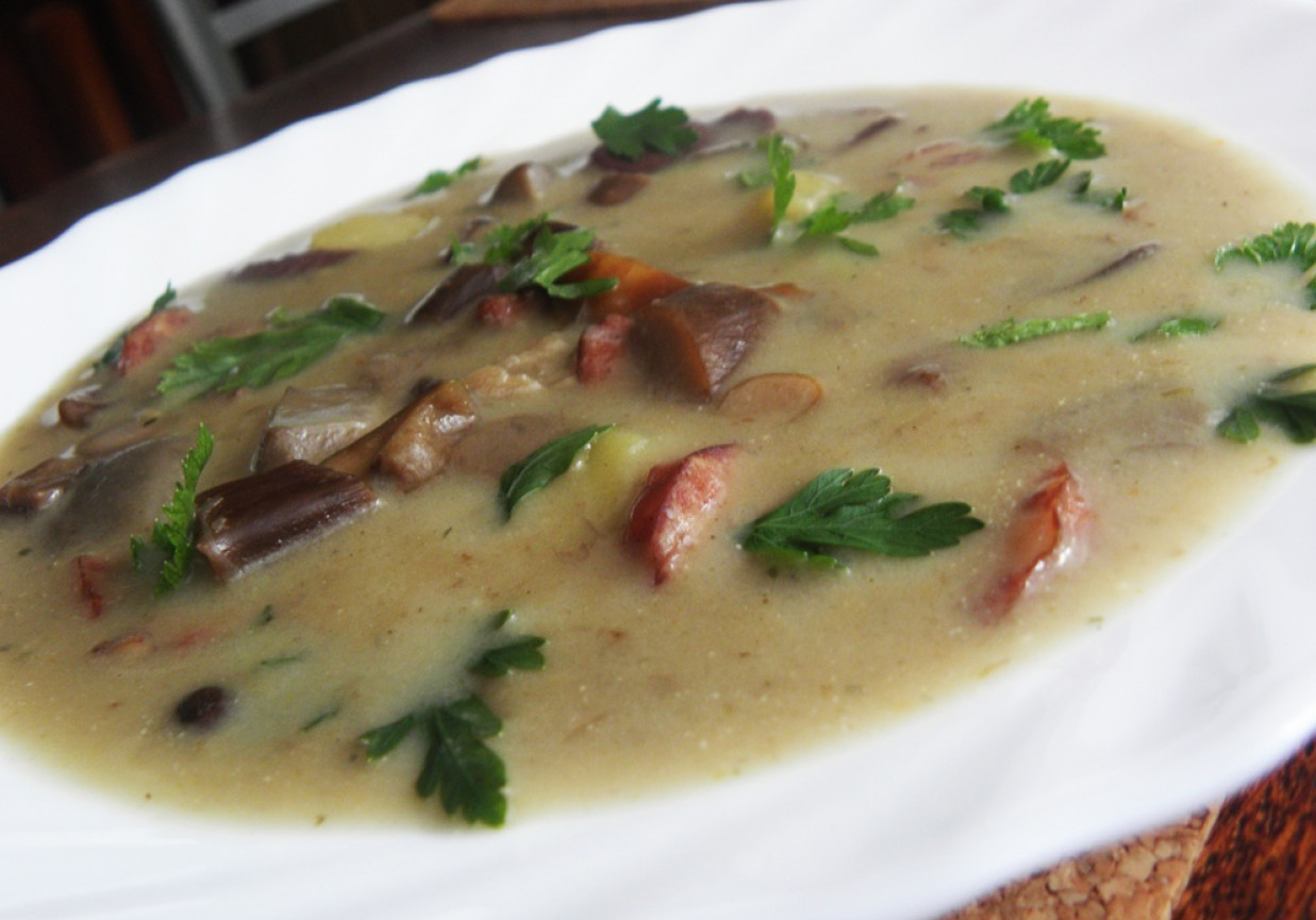 Zupa ze świeżych grzybów. foto