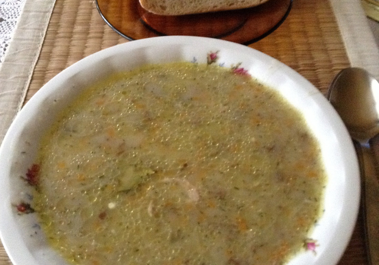 Zupa ze świeżych grzybów. foto