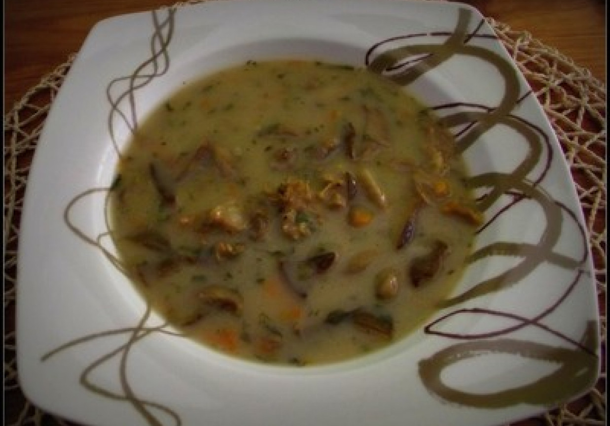 Zupa ze świeżych grzybów foto
