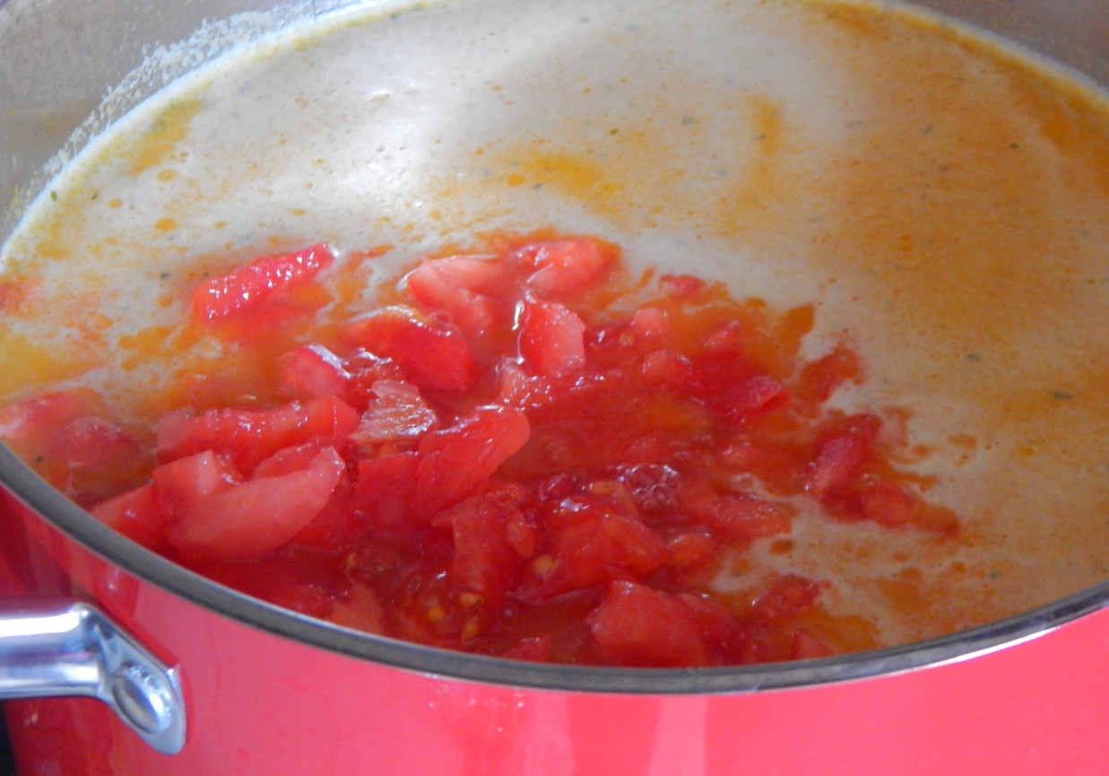 Zupa ze świeżych pomidorów z serkiem topionym foto