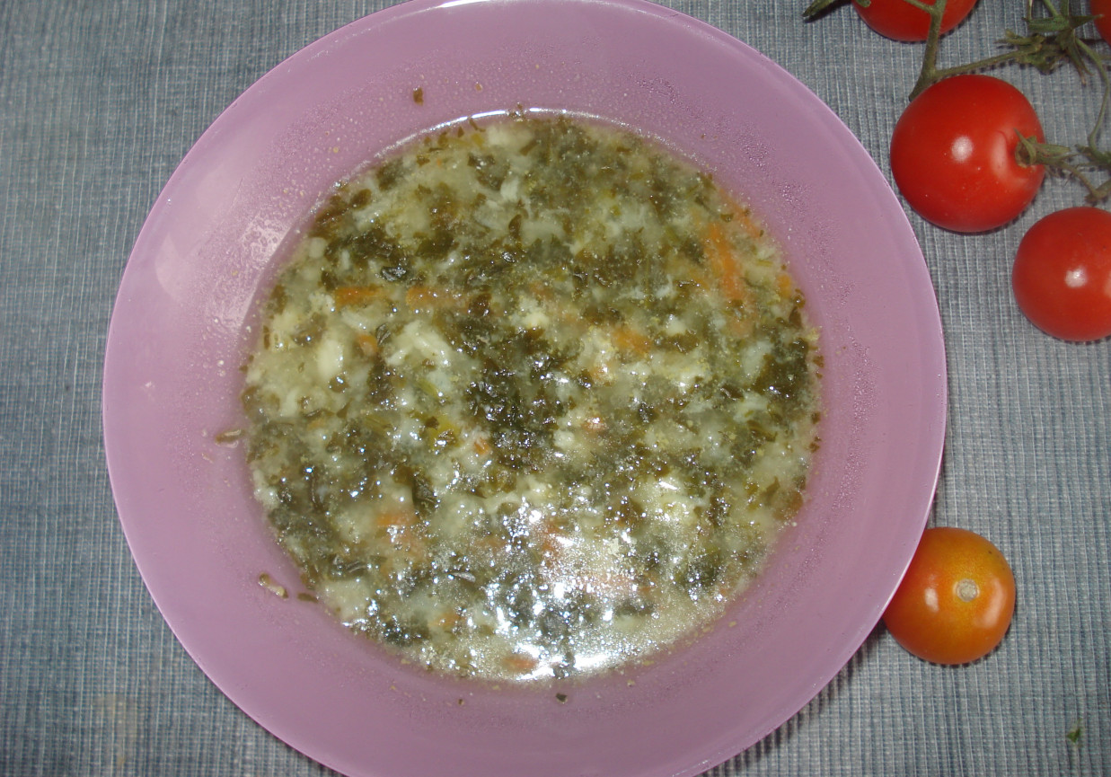 Zupa ze szpinakiem i lanym ciastem - na wywarze z królika :) foto