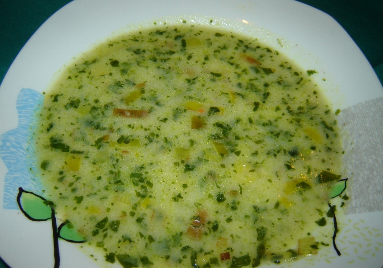 Zupa zielona z miętą foto