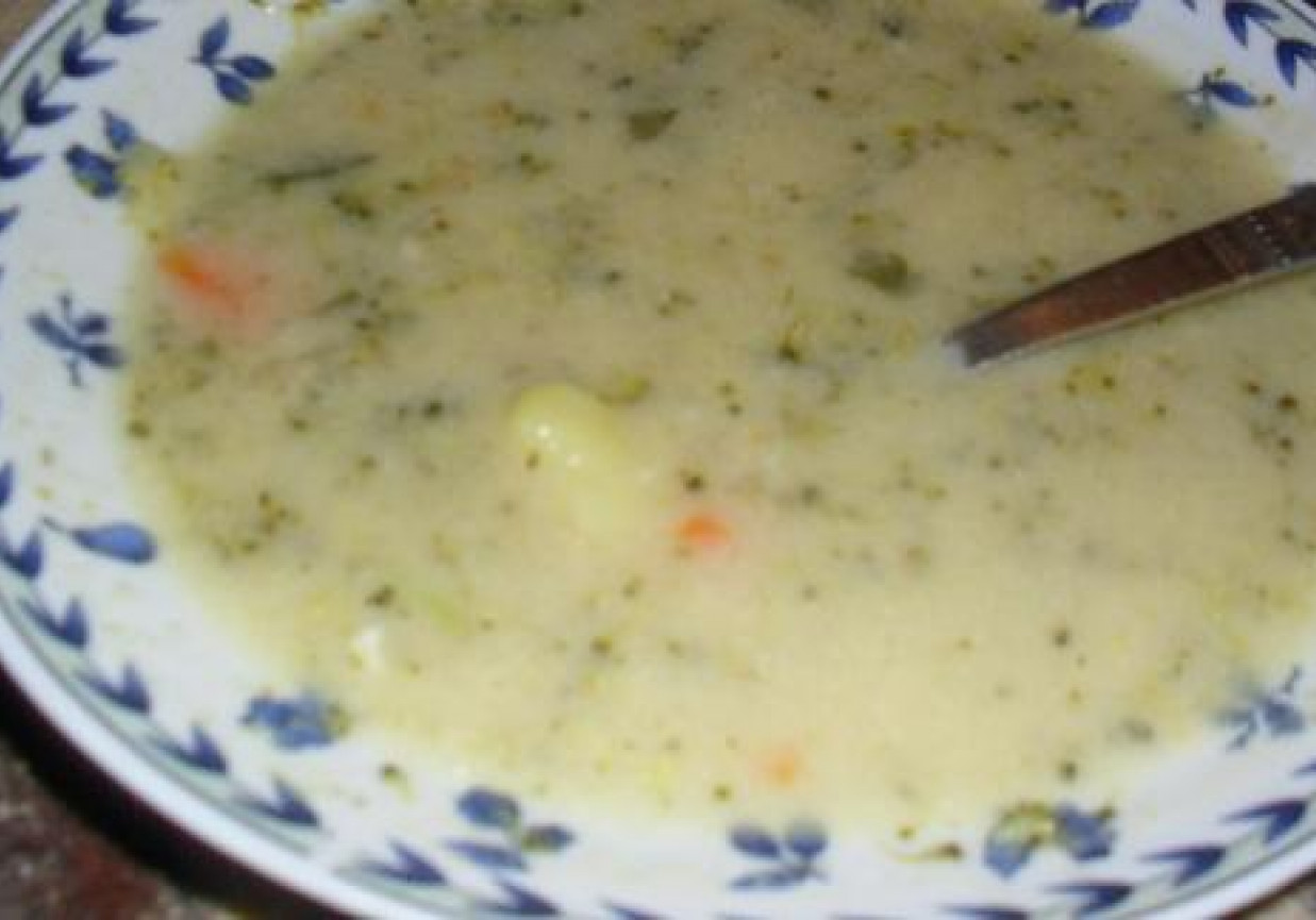Zupa zielona foto