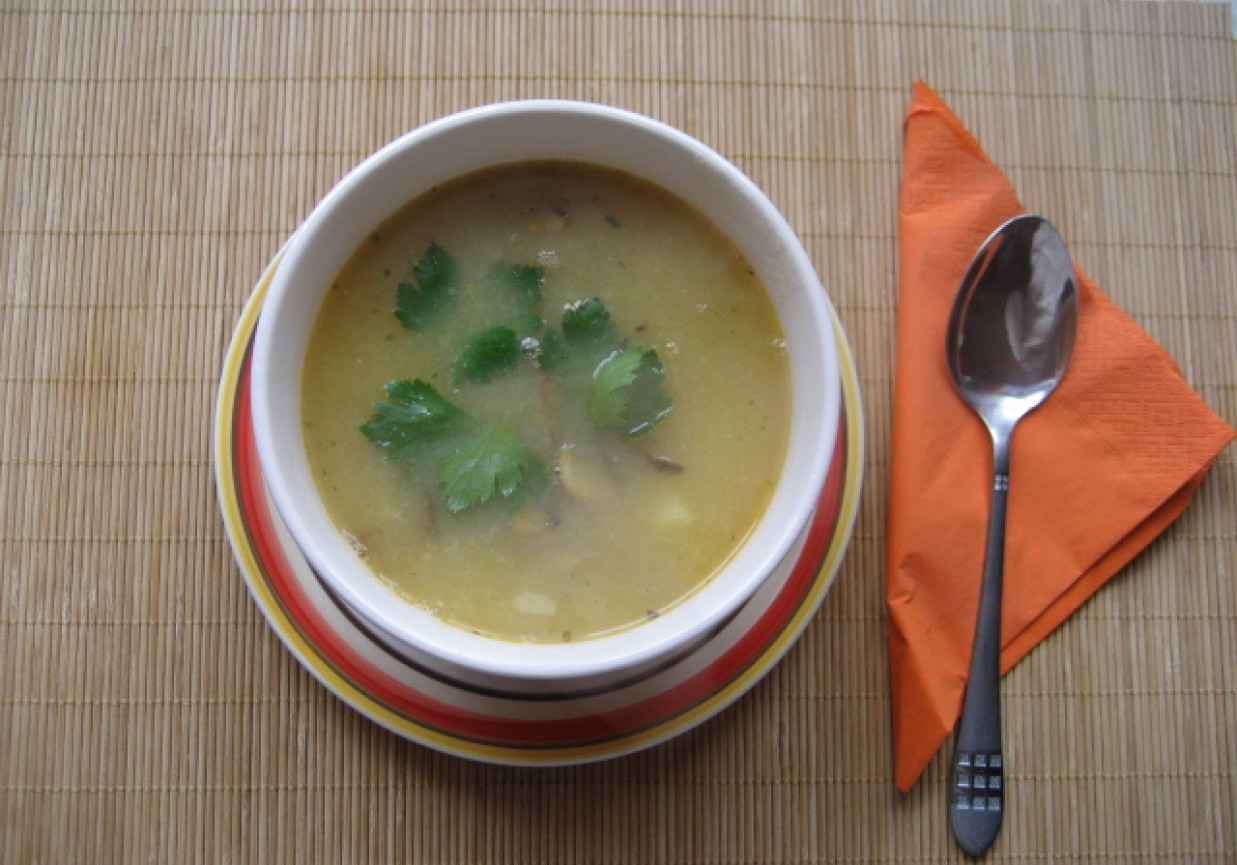 Zupa ziemniaczana z boczniakami foto
