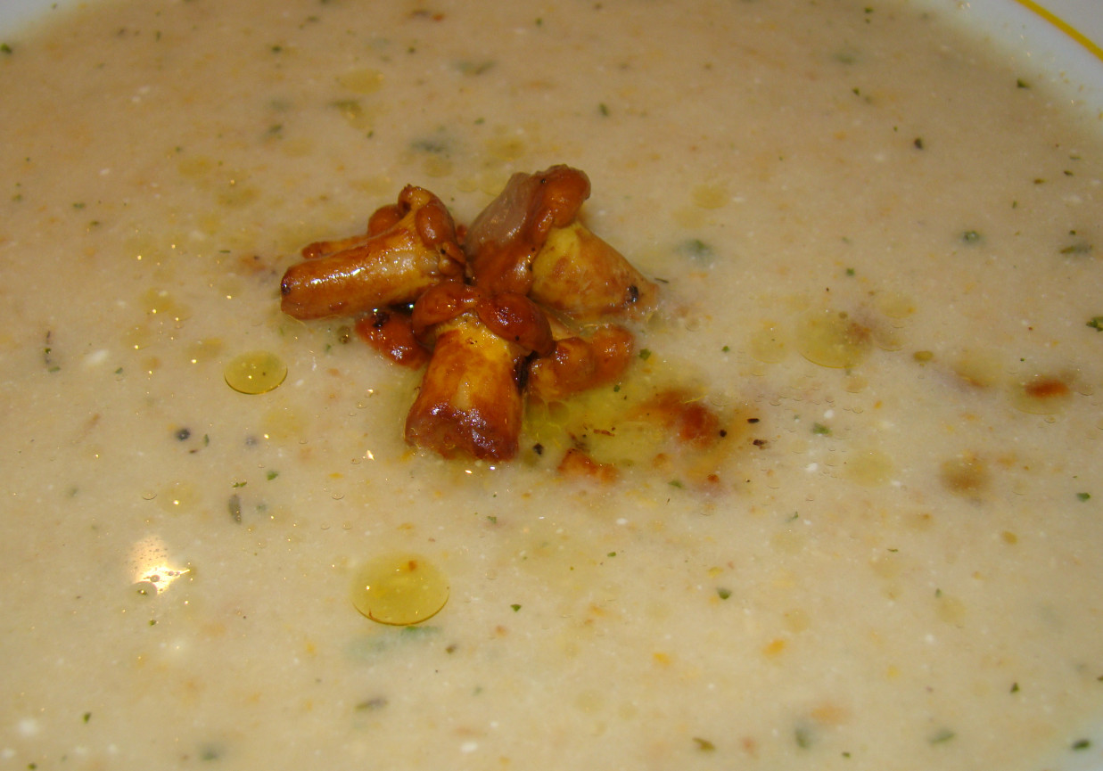 Zupa ziemniaczana z kurkami o kwaskowatym smaku foto