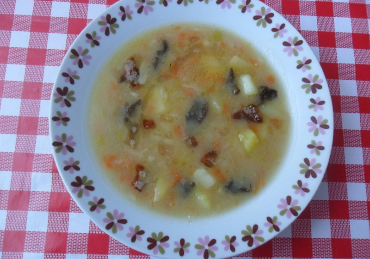 Zupa ziemniaczana z suszonymi grzybami foto