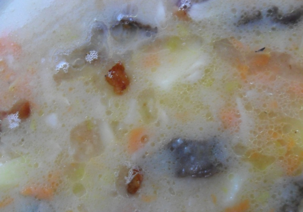 Zupa ziemniaczana z suszonymi grzybami foto