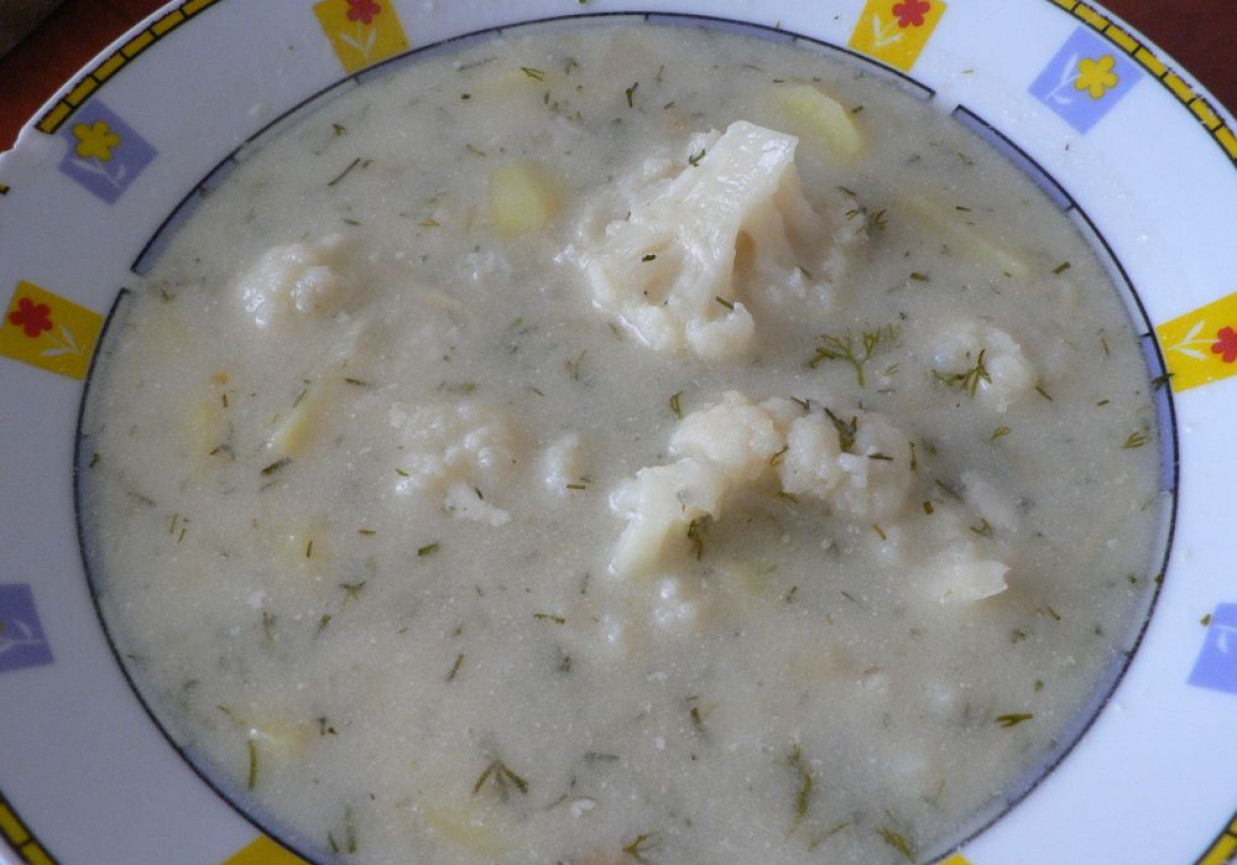 Zupa ziemniaczano-koperkowa foto
