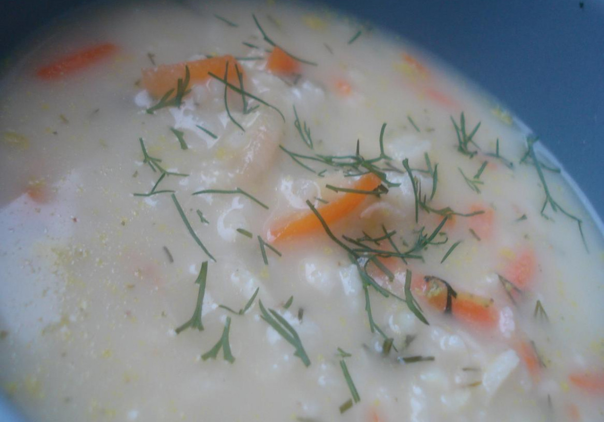 Zupa ziołowo- koperkowa z ryżem foto