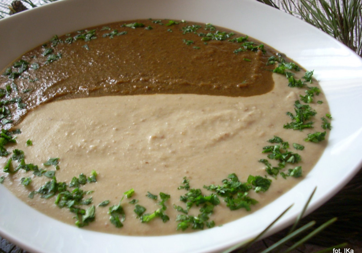 Zupa-krem z borowików w dwóch kolorach foto