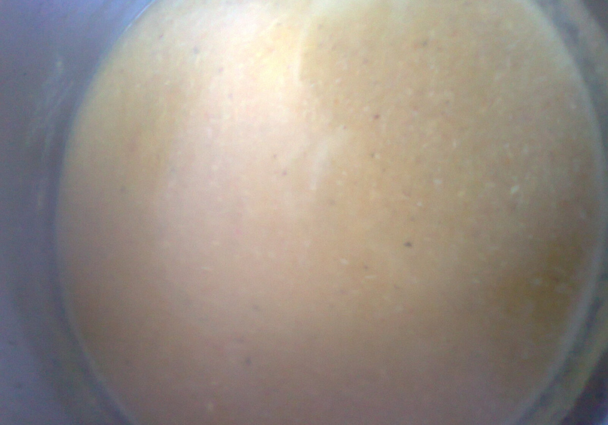Zupa-krem z kury foto