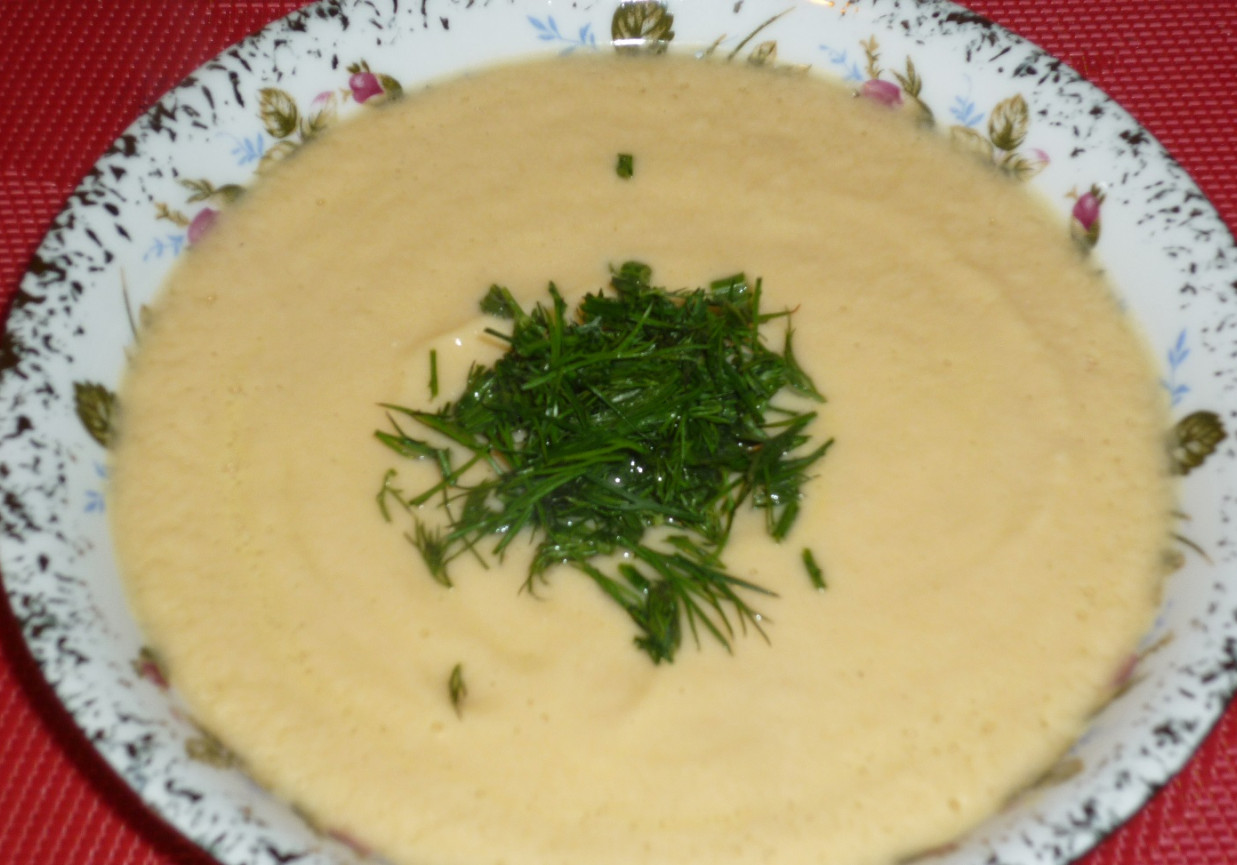 Zupa-krem z piersi kurczaka i warzyw foto