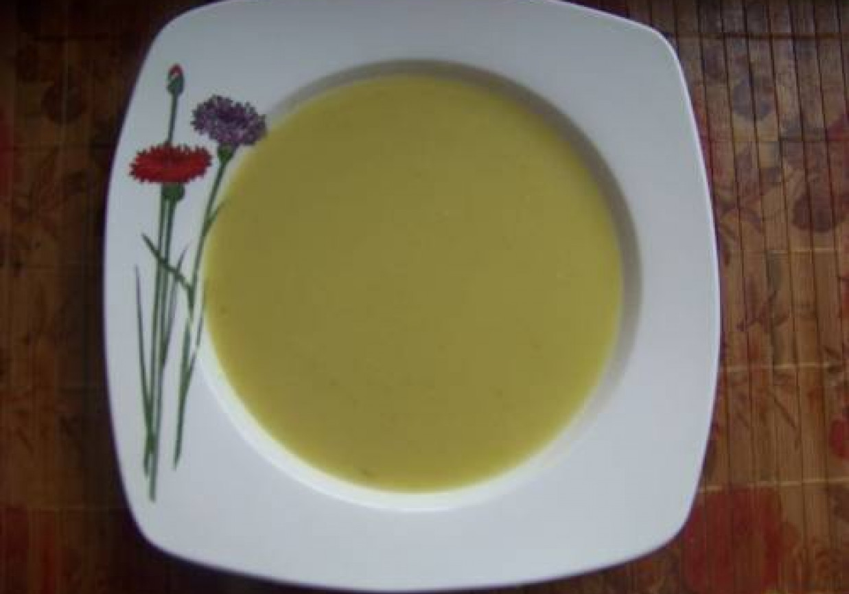 Zupa-krem z porów foto