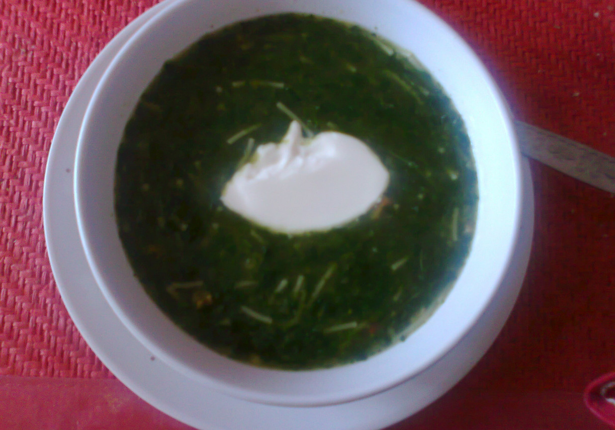 zupa-krem ze szpinakiem foto