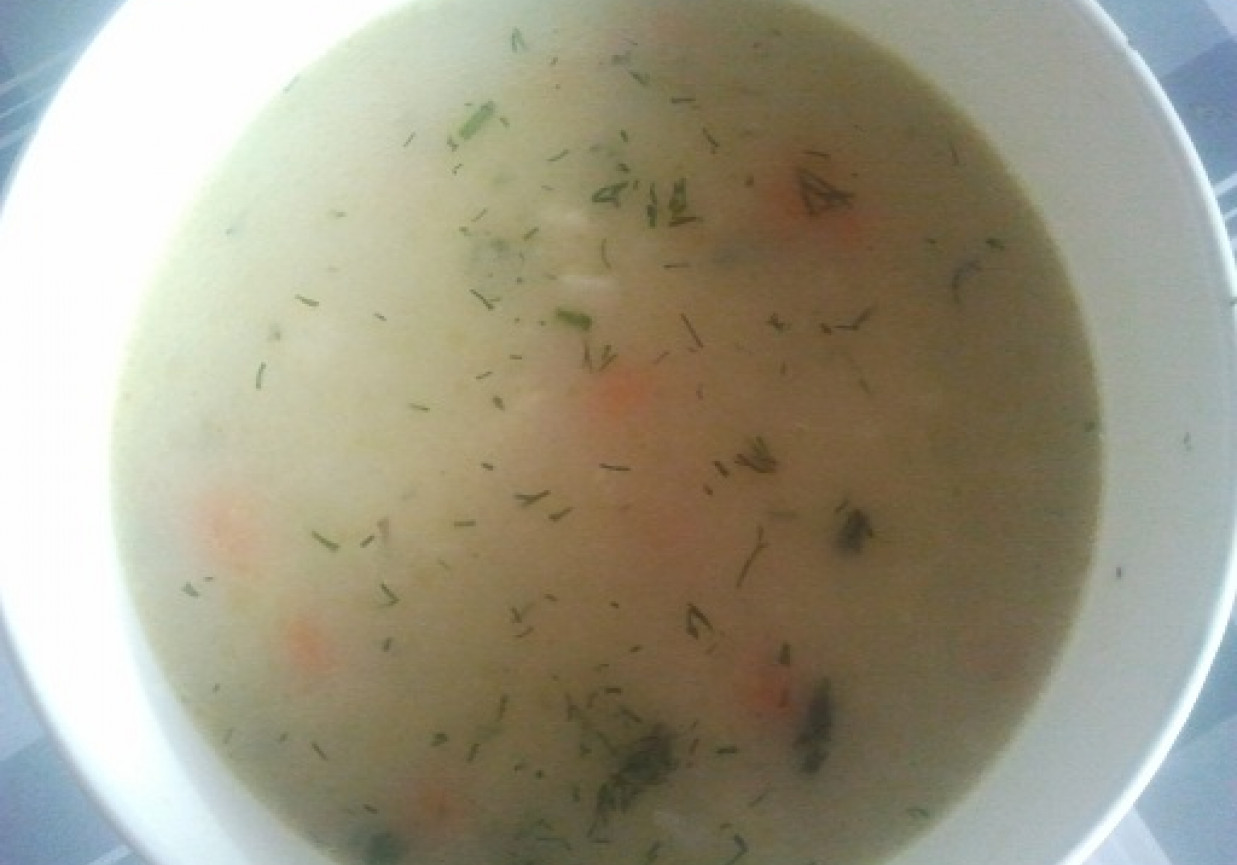 zupka kalafiorowa z koperkiem foto