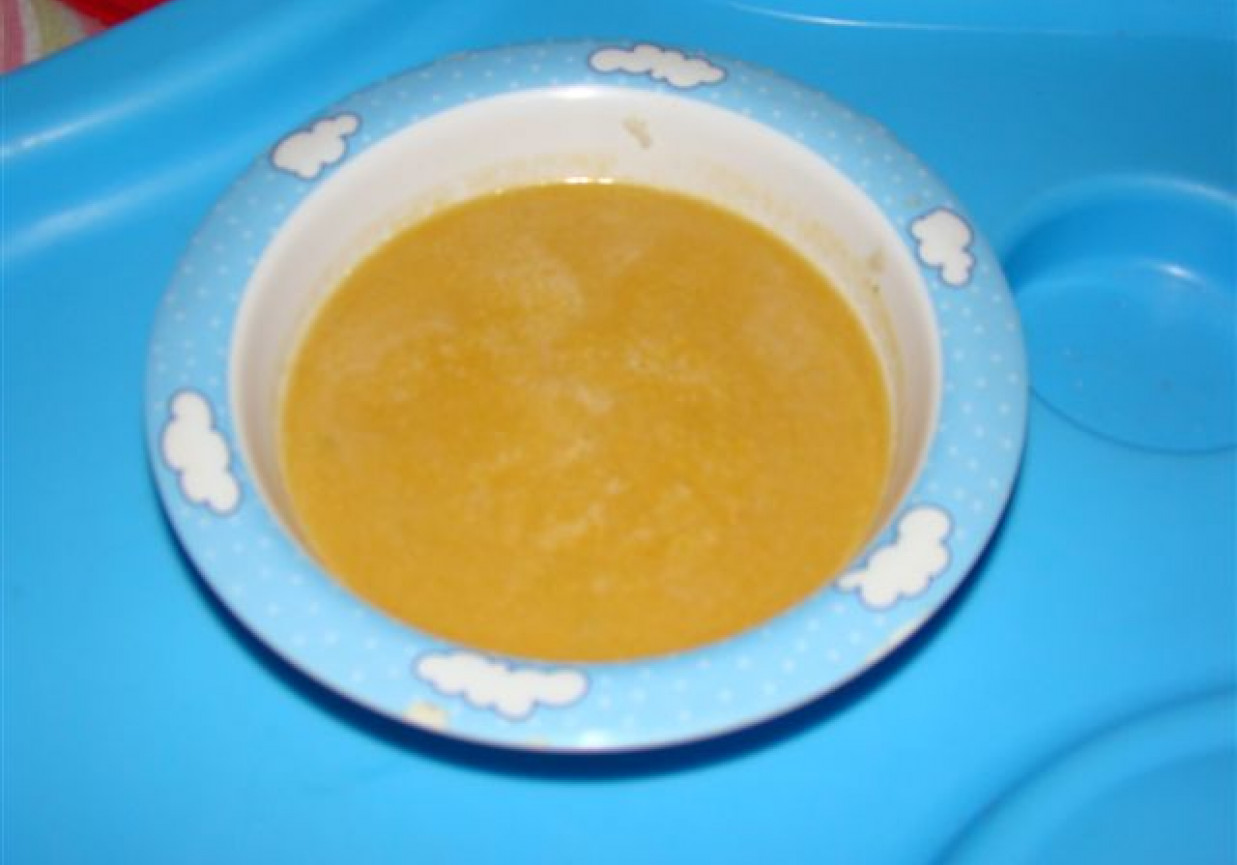 zupka marchwiowa dla maluszka foto