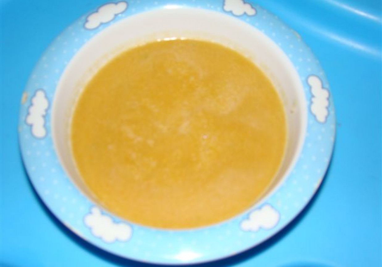 zupka marchwiowa dla maluszka foto