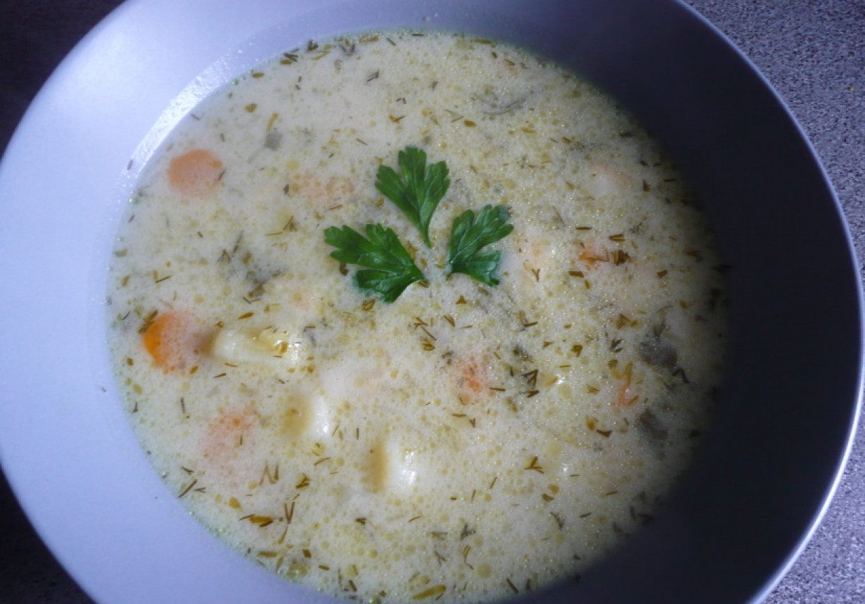 zupka ogórkowa z domowego przecieru foto