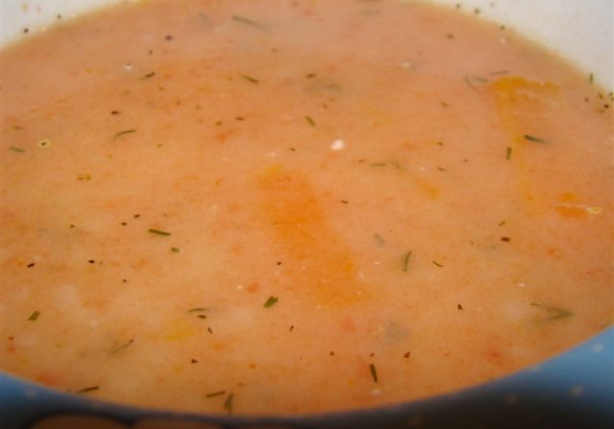 zupka pomidorowa dla maluszka foto