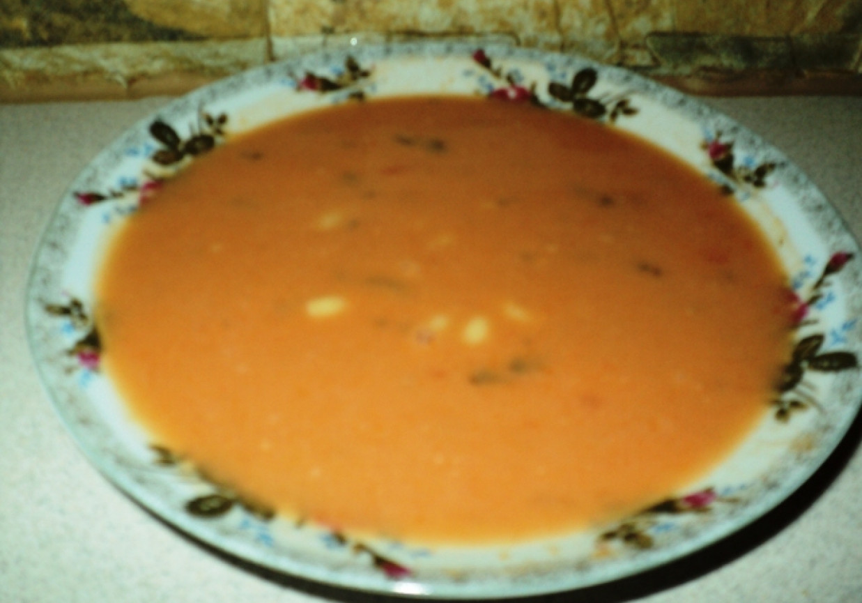 Zupka pomidorowa z makaronem foto