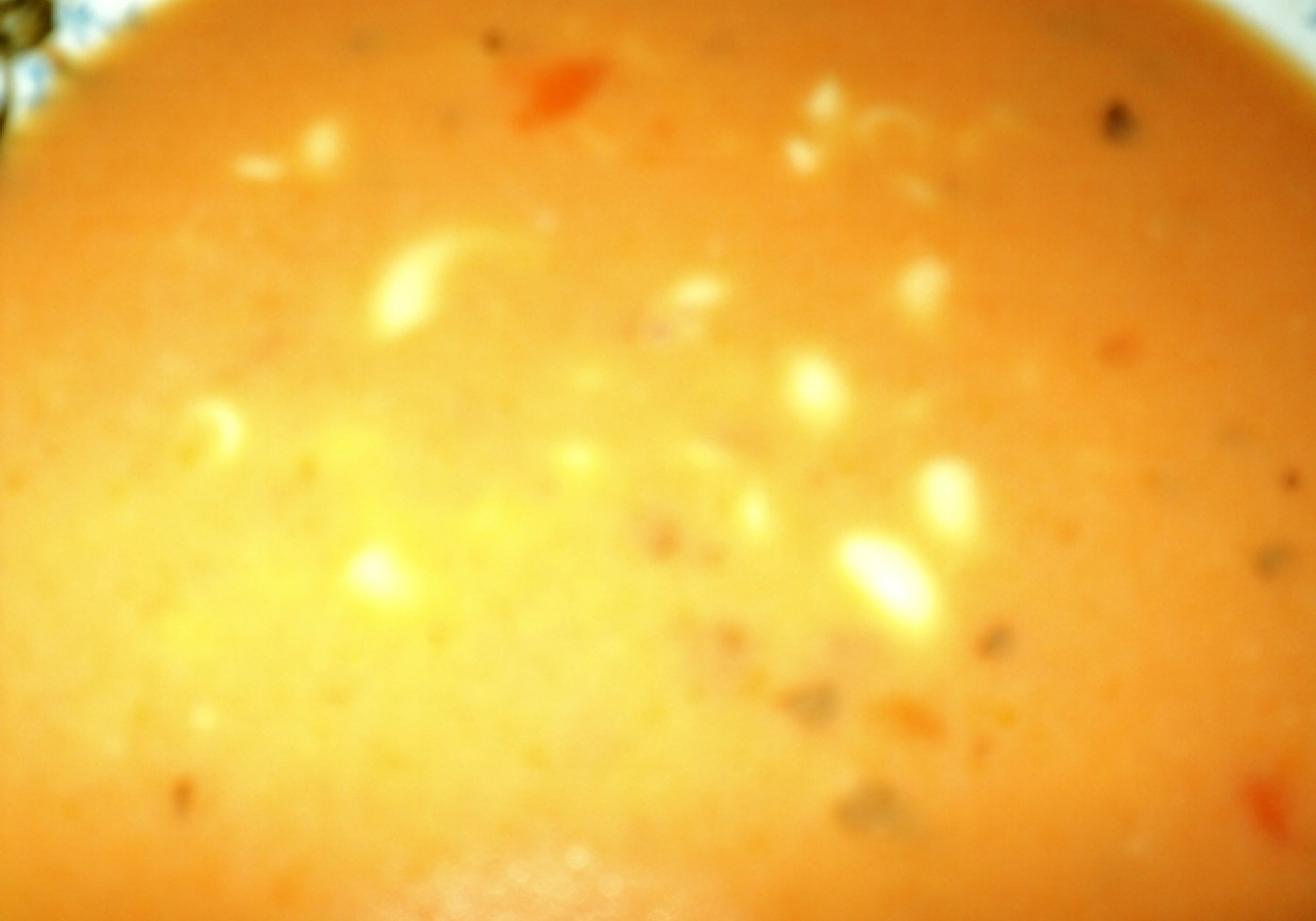 Zupka pomidorowa z makaronem foto