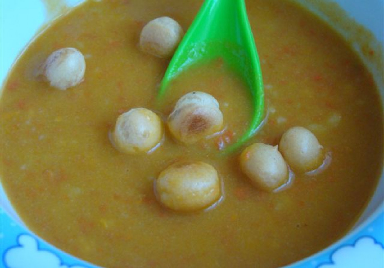 Zupka warzywno – owocowa dla maluszka foto