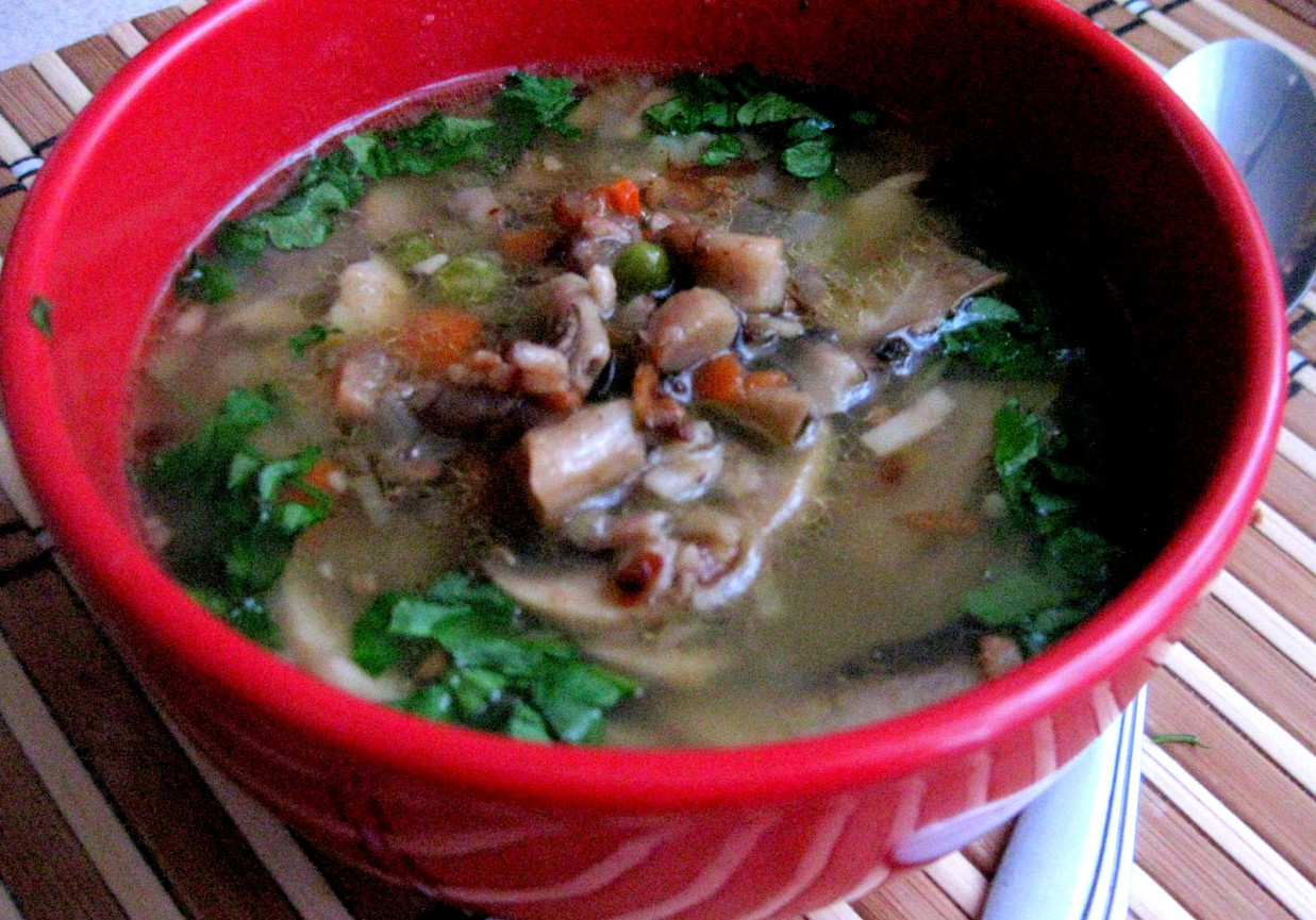 Zupka ziemniaczano - grzybowa foto